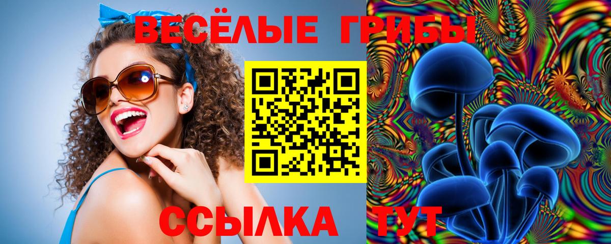 Галлюциногенные грибы мухоморы Димитровград