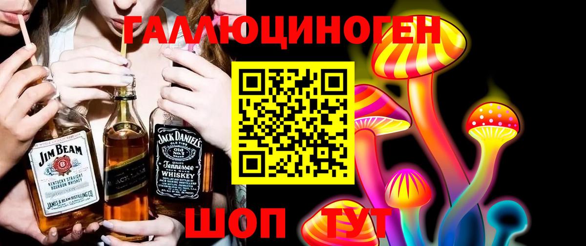 Галлюциногенные грибы MAGIC MUSHROOMS  Вход с VPN  Димитровград 